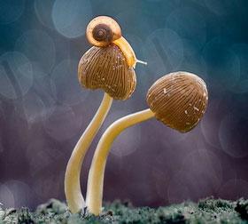 轰炸手机号软件